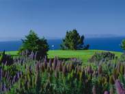 Los Verdes Golf Course