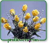ProFlowers.com - order flowers online here